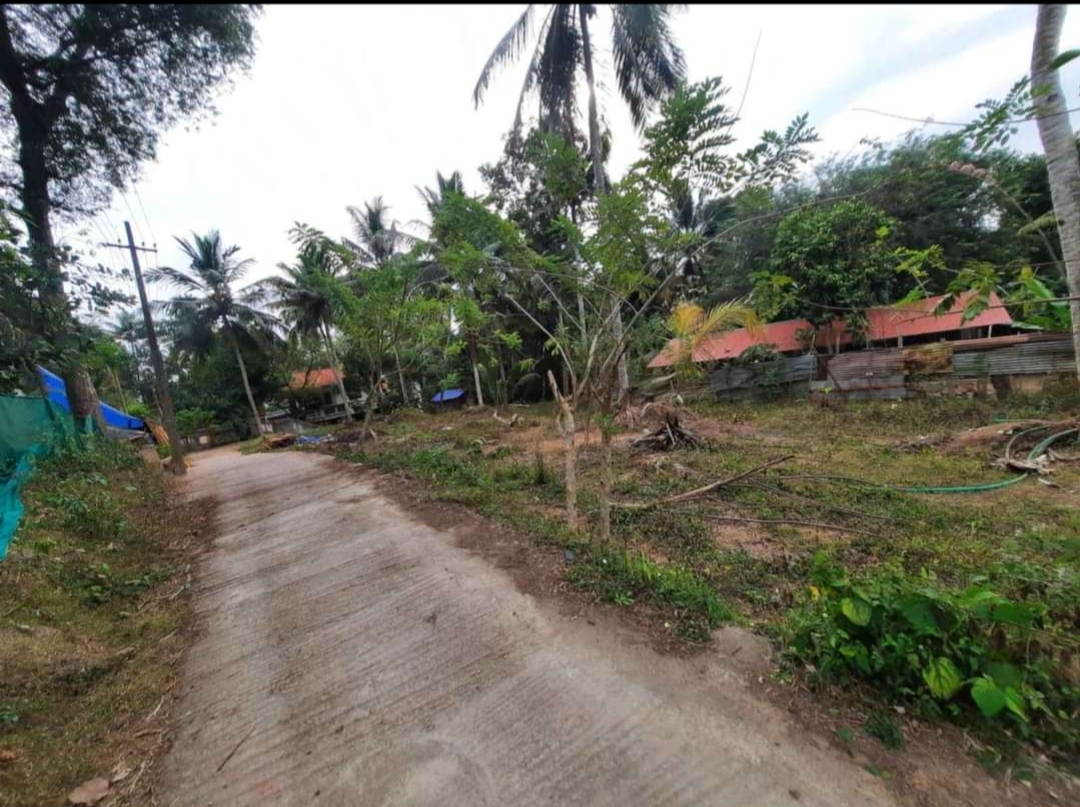 30 Cent Residential Land For Sale