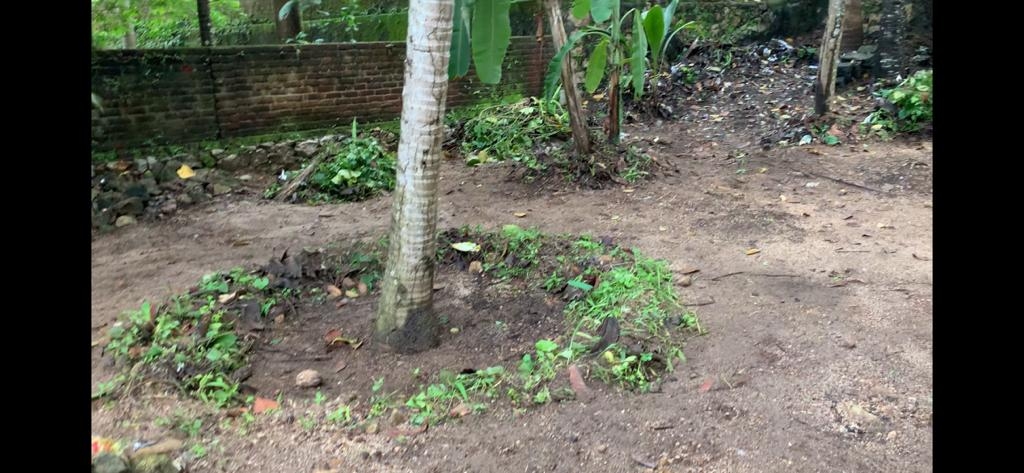 8.9 Cent Residential Land for Sale 