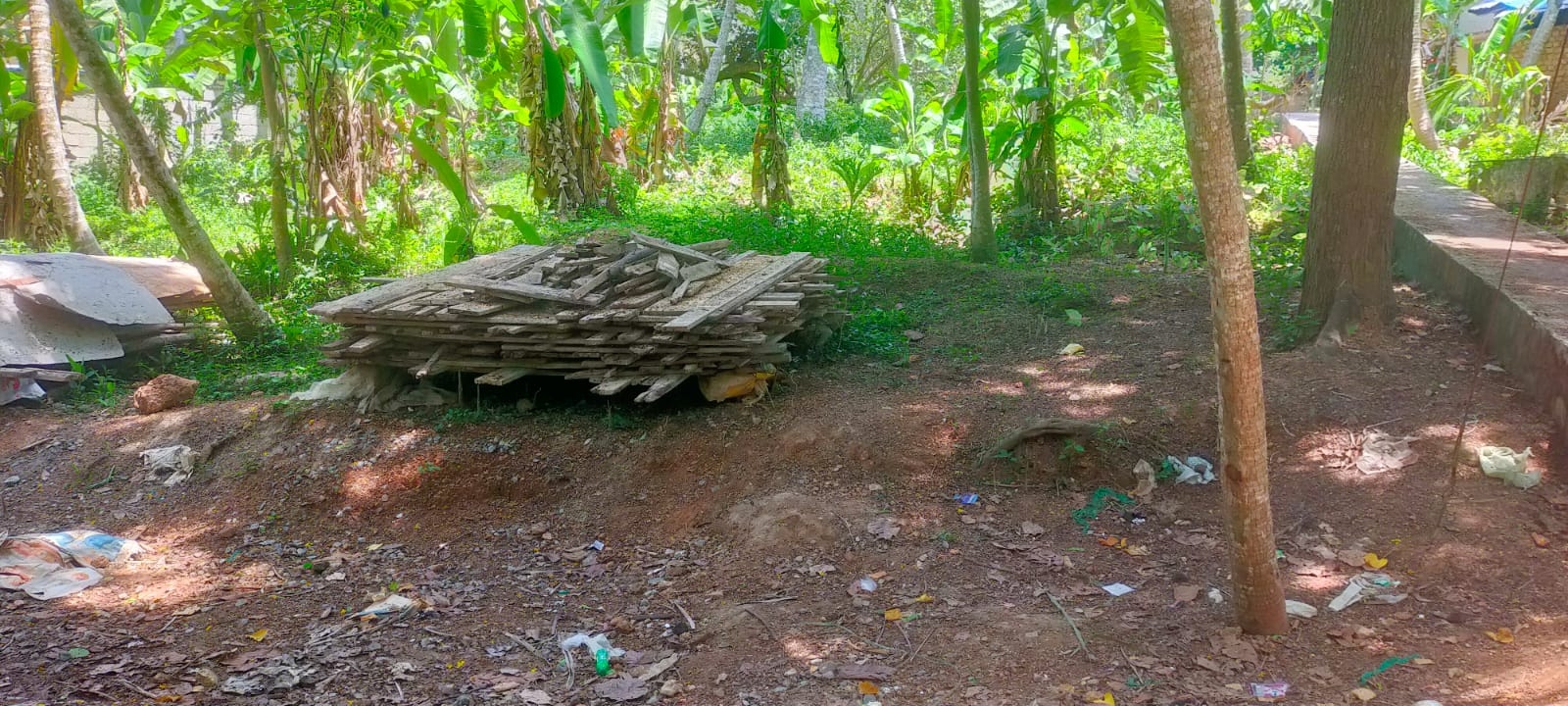 25 Cent Residential Land For Sale