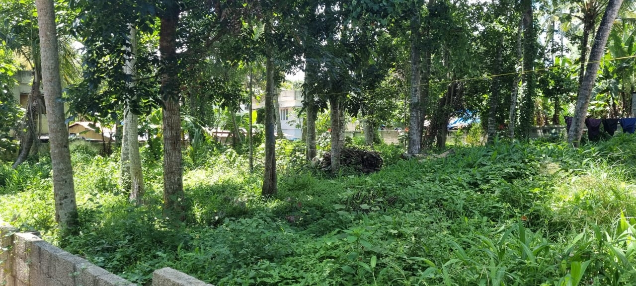 35 Cent - Residential Land for Sale Thirumala