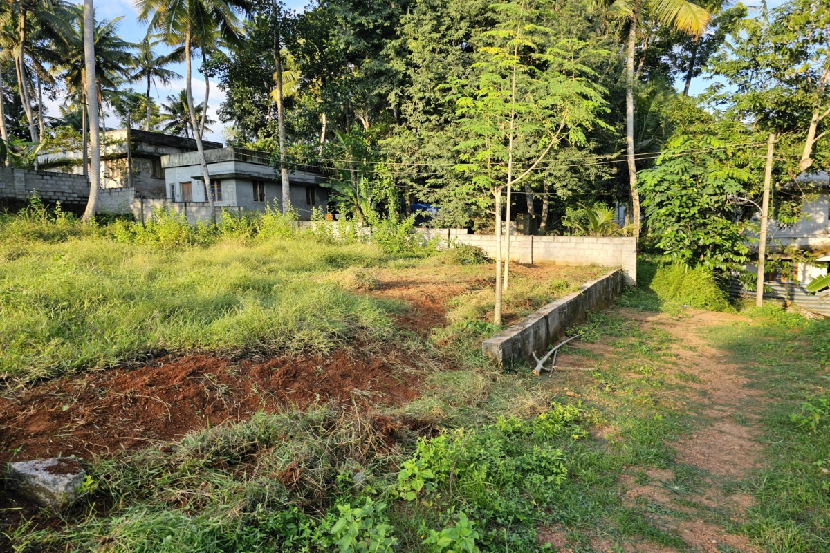11 Cent Residential Land For Sale