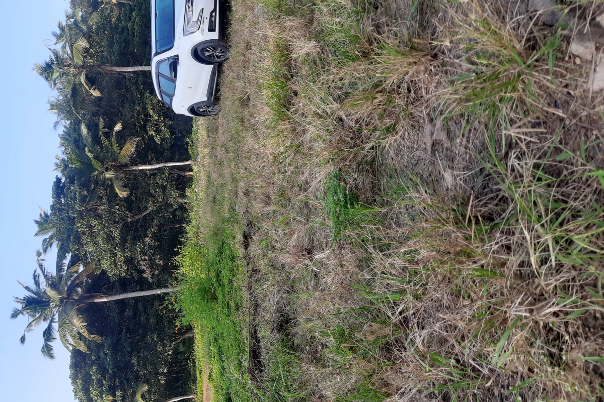 Residential Land For Sale