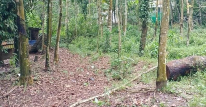 60 Cent Residential Land For Sale