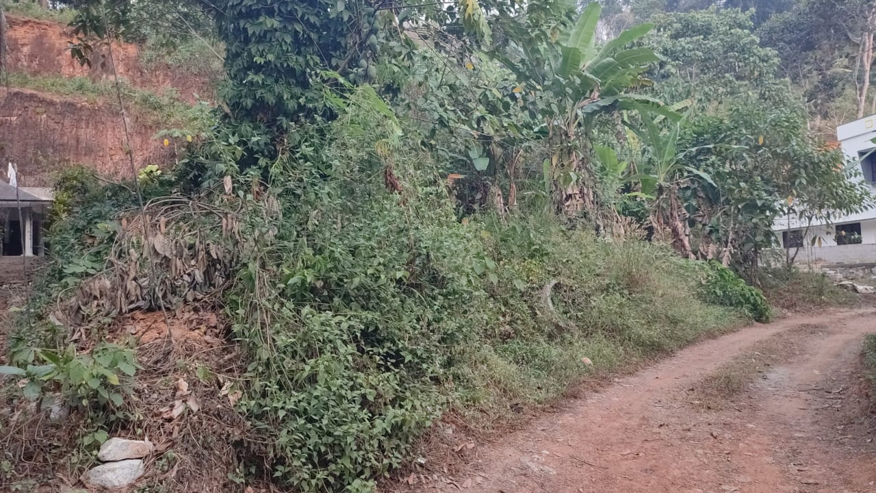 65 Cent Residential Land For Sale
