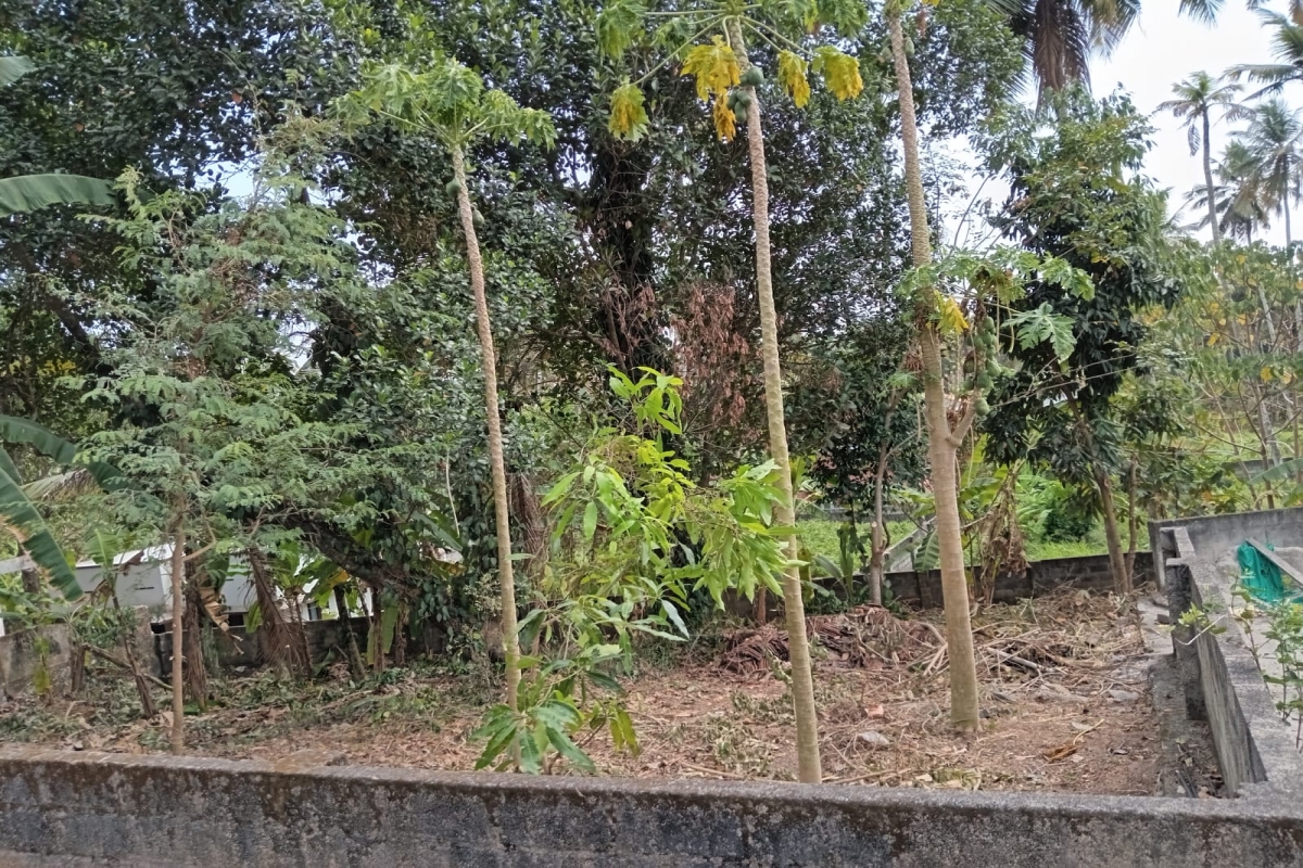 10 Cent Residential Land for Sale
