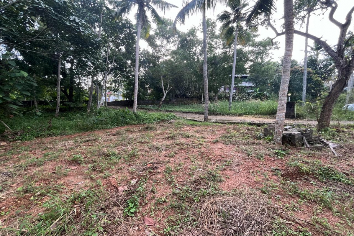 6 Cent Residential Land For Sale